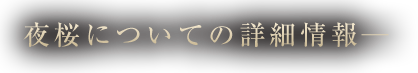 夜桜についての詳細情報─