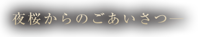 夜桜からのごあいさつ─