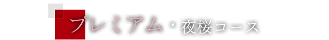 プレミアム・夜桜コース