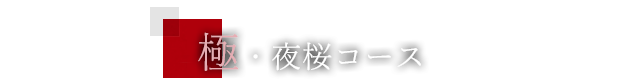 極・夜桜コース