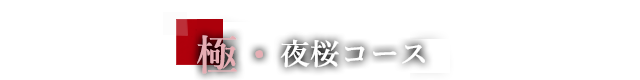 極・夜桜盛りコース