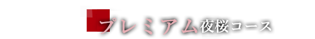 プレミアム夜桜盛りコース